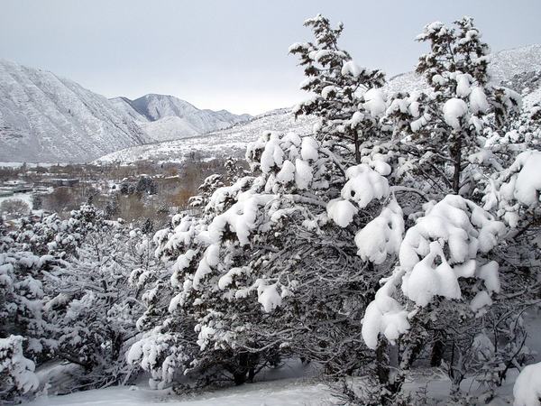 Glenwood-winter-2-2013-edited