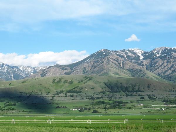 Idaho