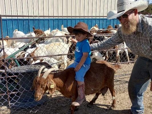 Judah-Goat-Busting
