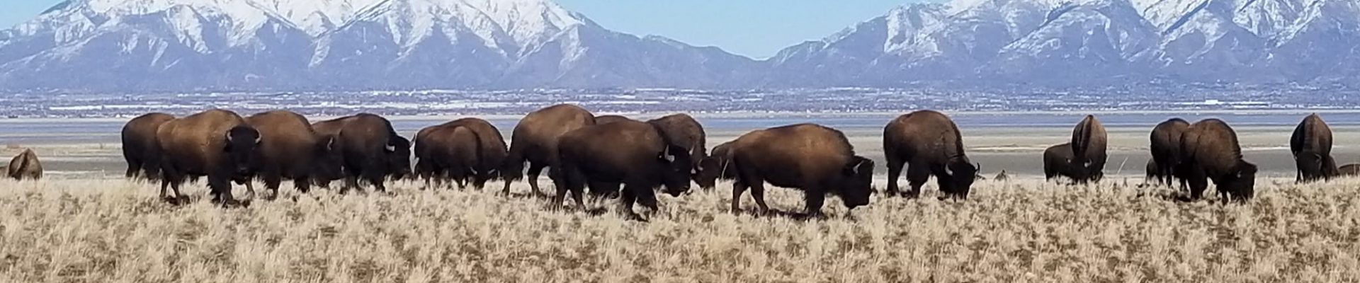Antelope Island, Syracuse, Utah