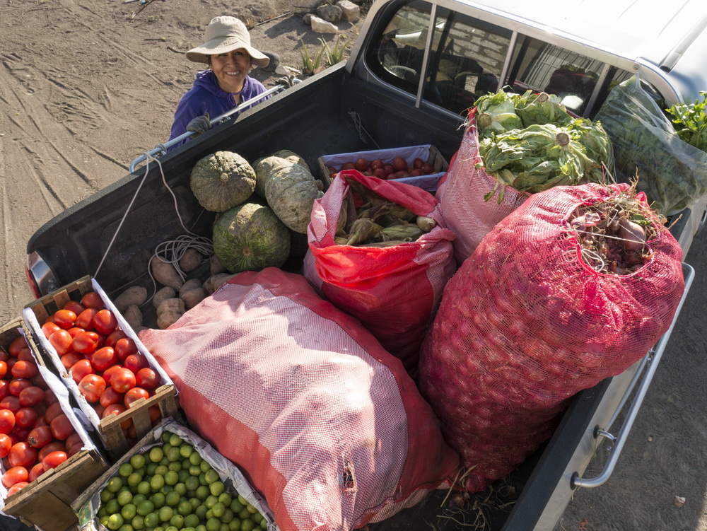 Food to Needy During Pandemic