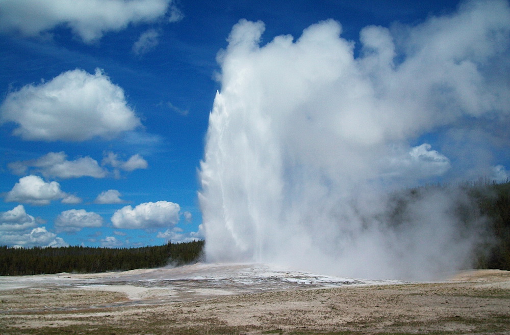 Old Faithful in Yellowstone
