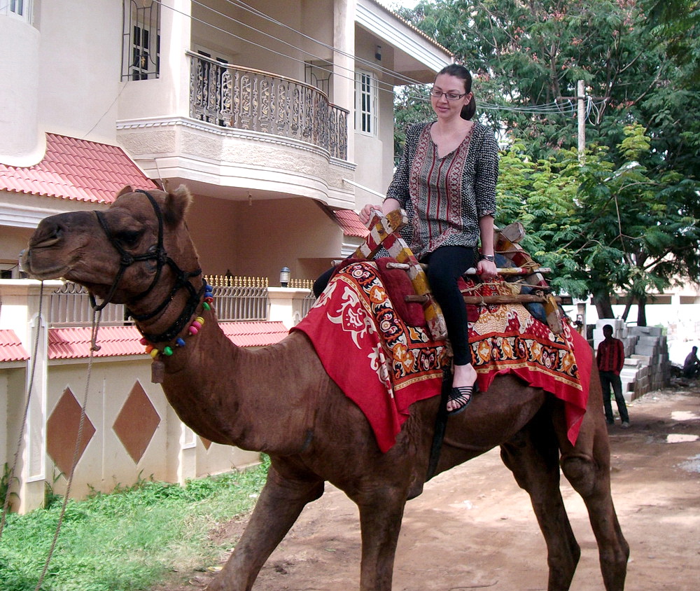 Connie's Transportation