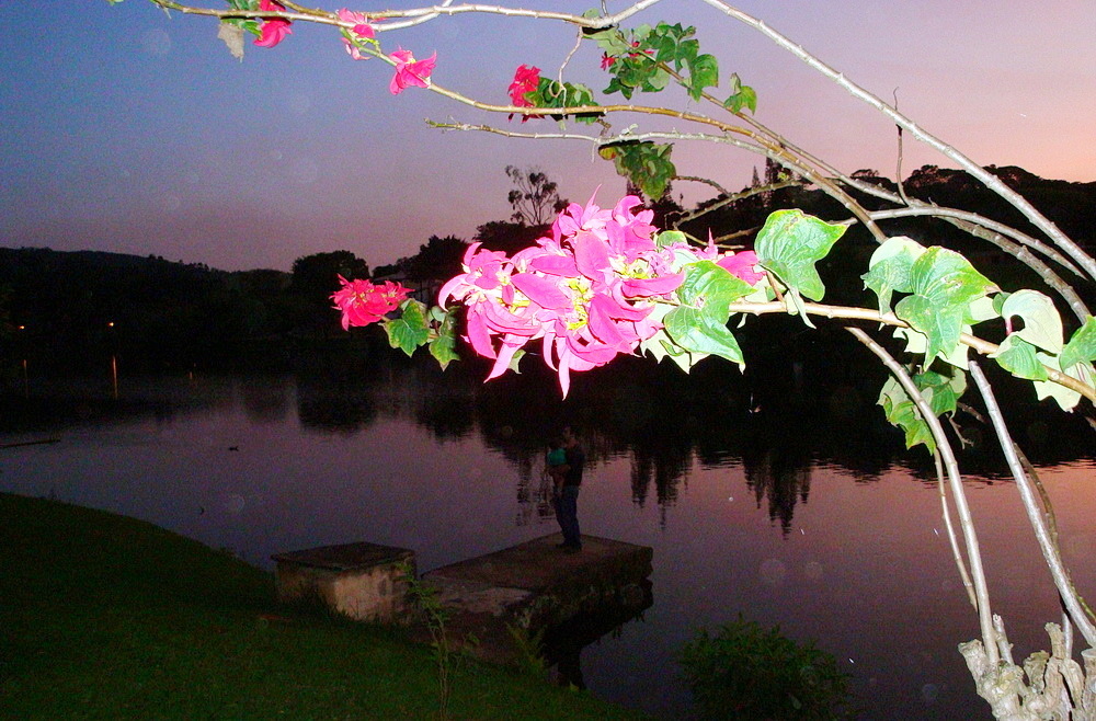 Wintertime in Brazil